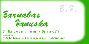 barnabas hanuska business card